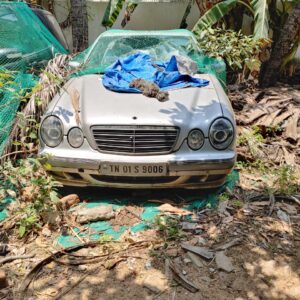 Mercedes W210 Petrol